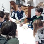 Museo di Storia Naturale Faraggiana Ferrandi