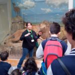 Museo di Storia Naturale Faraggiana Ferrandi
