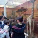Museo di Storia Naturale Faraggiana Ferrandi