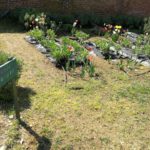 Giardino vegetale Olona International School