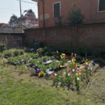 Giardino vegetale Olona International School