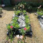 Giardino vegetale Olona International School