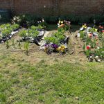 Giardino vegetale Olona International School