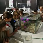 Olona International School Città dei Robot